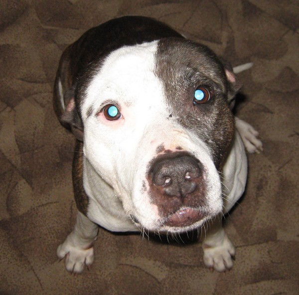 Александр Дроздов