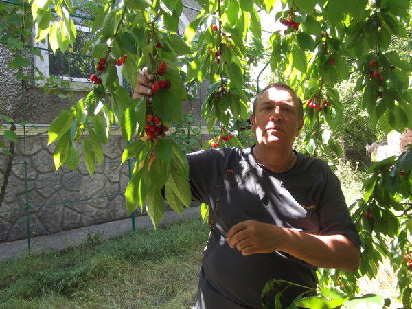 Владимир Дорошенко