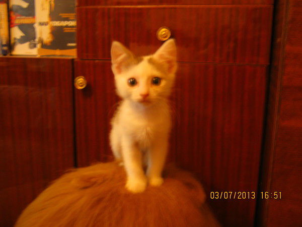 Оксана Охмуш