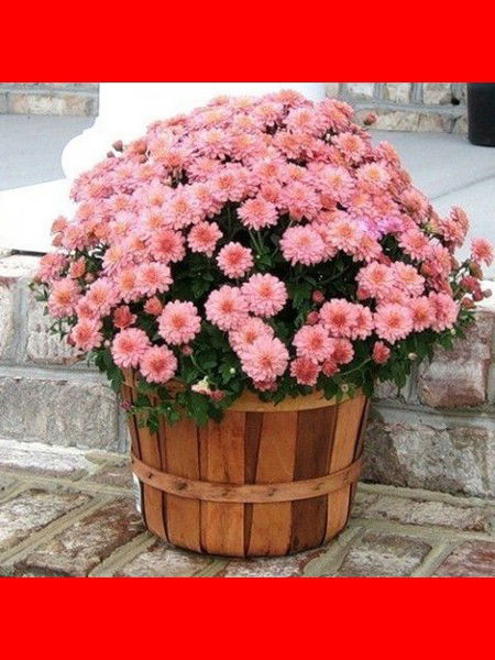 Гуля Каримова