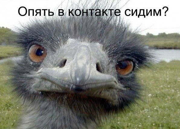 Никита Маштаков