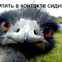 Никита Маштаков