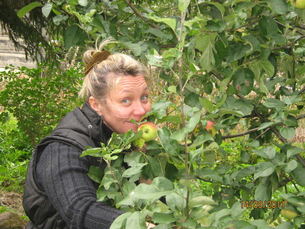 ??????? ??????????????????????