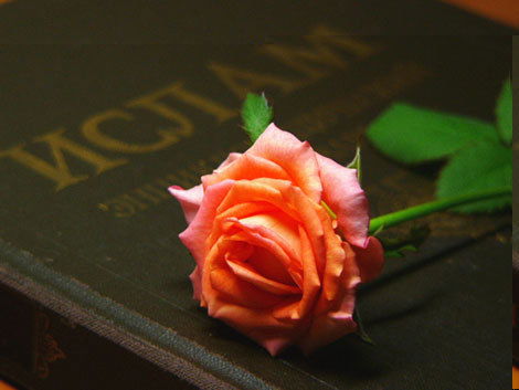 Камшат Султанова