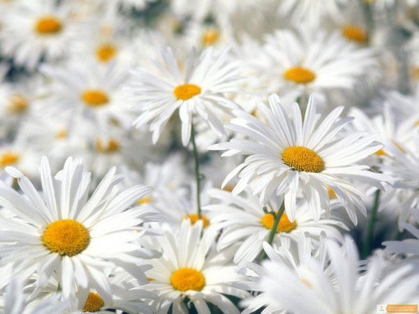 Жанна Бактыбаева