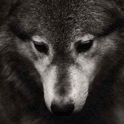 Егор Лопатин