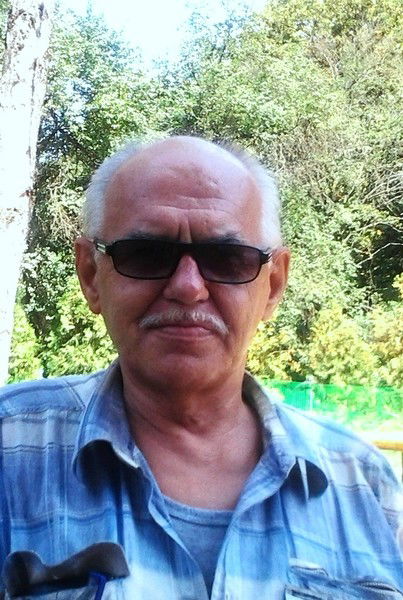 Владимир Стрельников