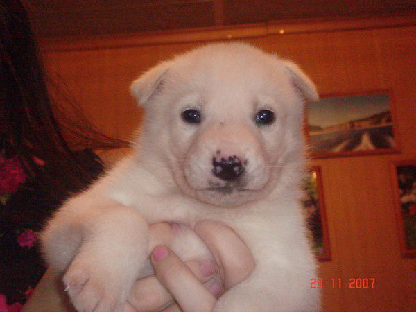 Вакуленко Людмила