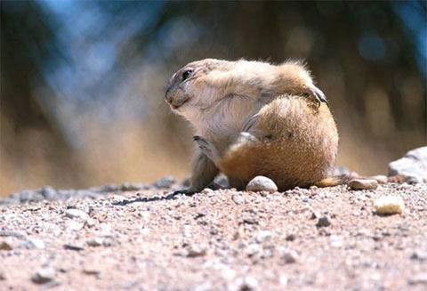 Татьяна Шагунина