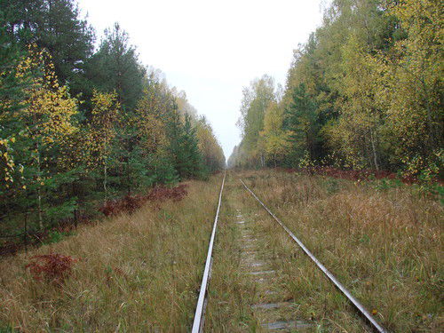 Игнат Повар