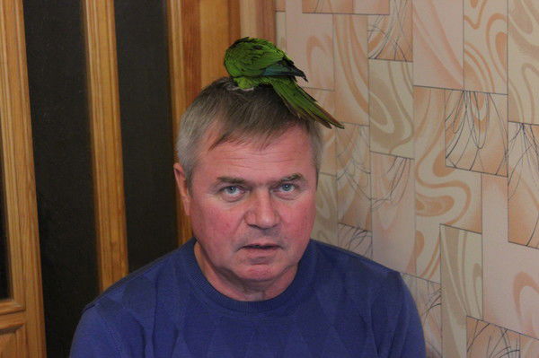 Богдан Литвин