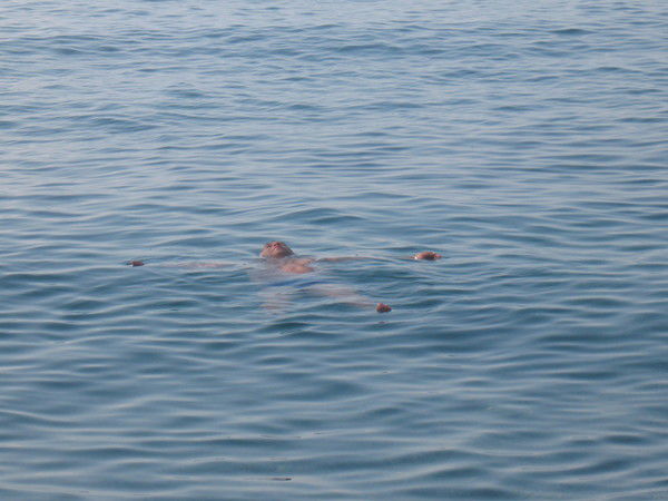 Вилен Немыкин