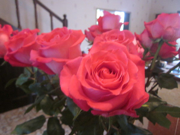 Михаил Кучинский