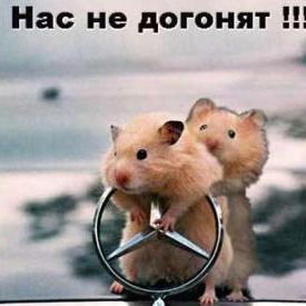 Николай Костюк