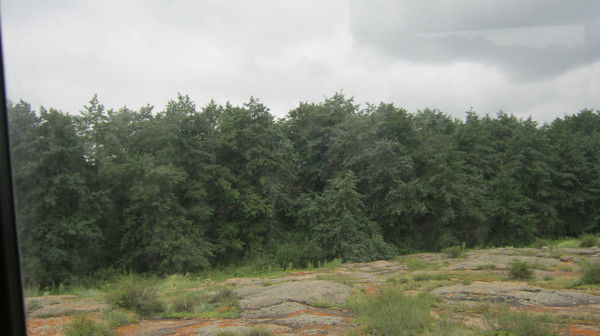 Назым Досанова