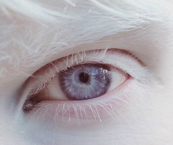 Никита Совушкин