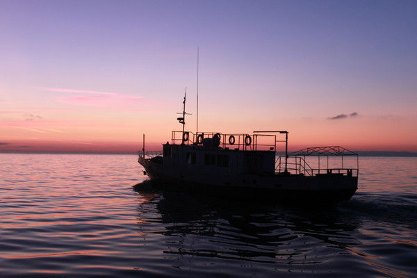 Сергей Станиславович