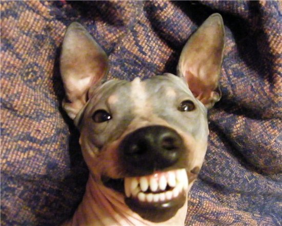 Анастасия Мужицкая