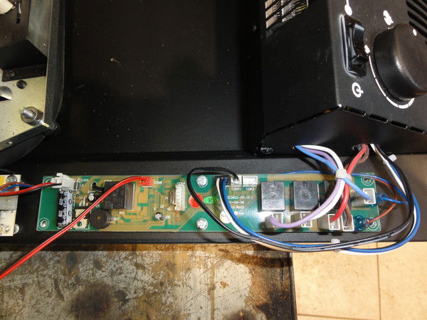 Евгения Спицына