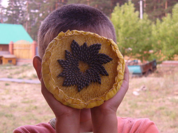 Инна Ханнанова