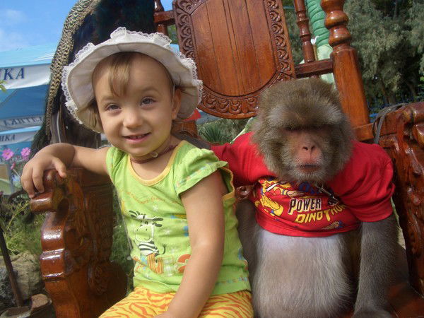 Василий Никишин