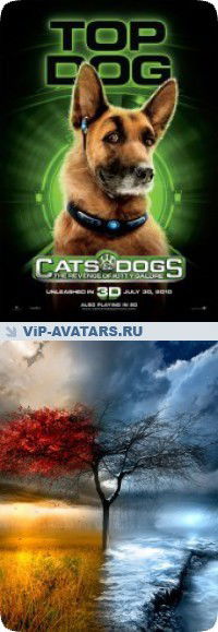 Артур Стрилчук