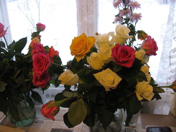 Екатерина Кайдарова