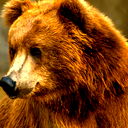 Кочанин Алексей