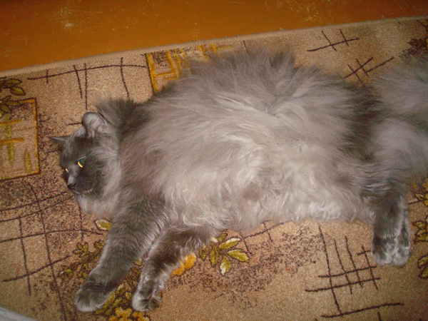 Татьяна Смолянинова