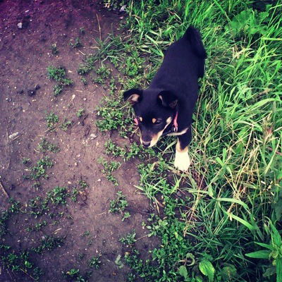 Лия Хузиахметова