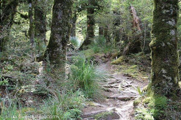 Лариса Панькив