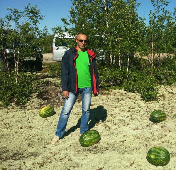 Дмитрий Голев