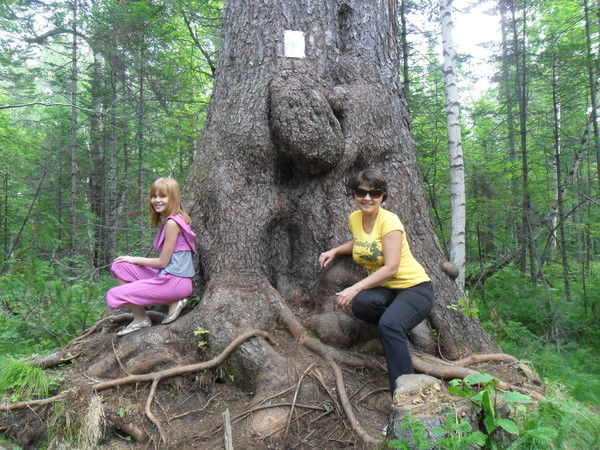 Наталия Строканина