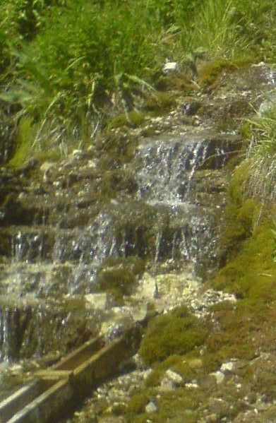 Ренис Хасанов