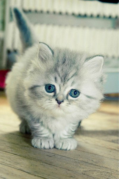 Ольга Алексеевна