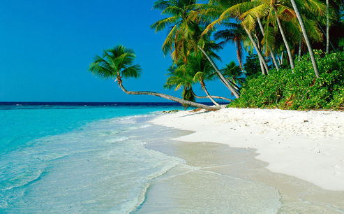 Юлия Коршенко