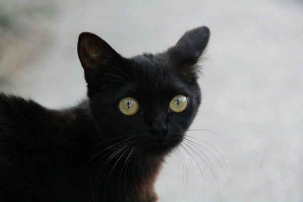 Надежда Трунова