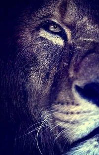 Михаил Морозов