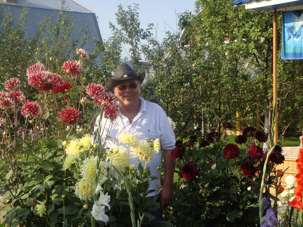 Владимир Свет