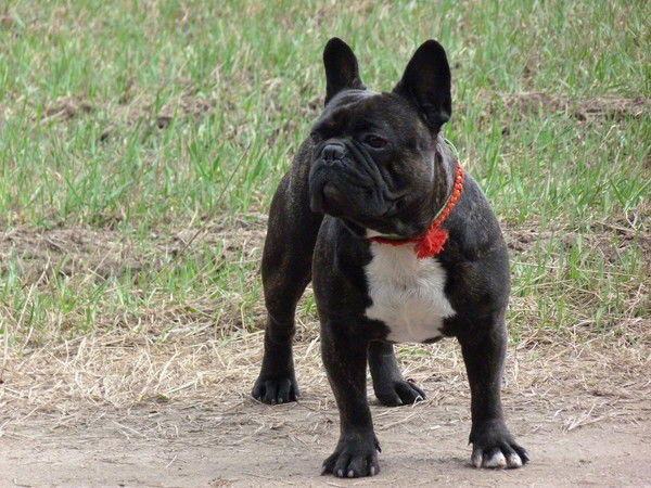 Елена Гусарова