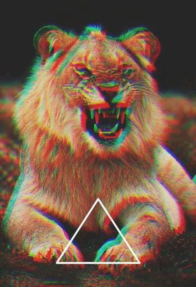 Дмитрий Ляпкин