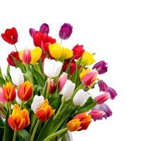 Надежда Танбаева