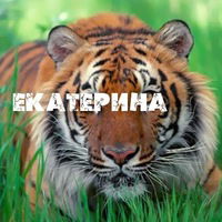 Катя Худякова