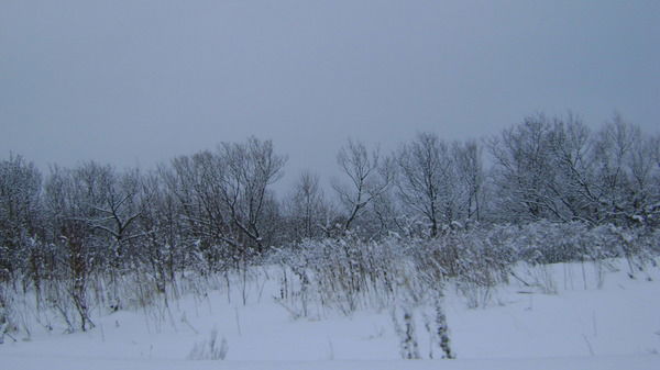 Надежда Трошина