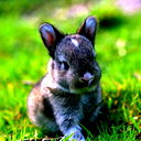 Анжелика Карагаева