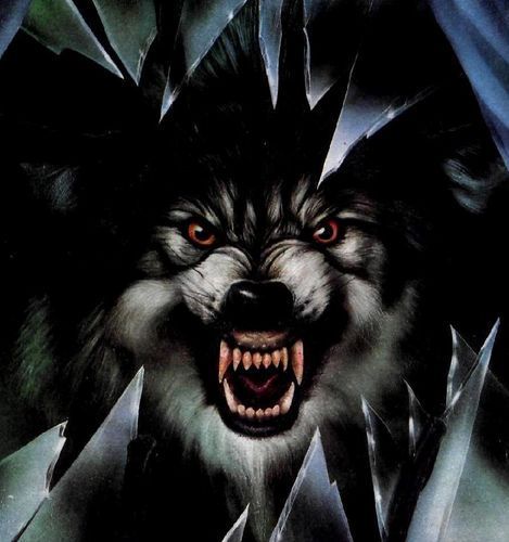 Анатолий Шабнов