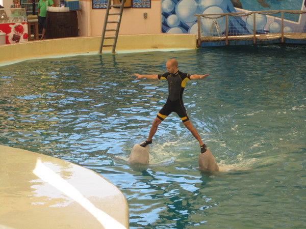 Фуркат Самиев