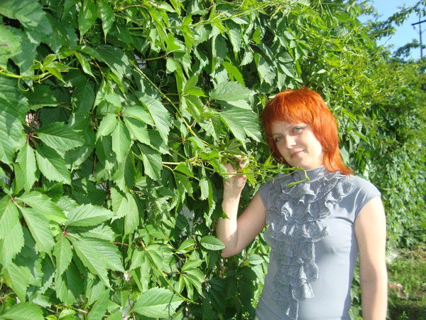 Елена Рогожина