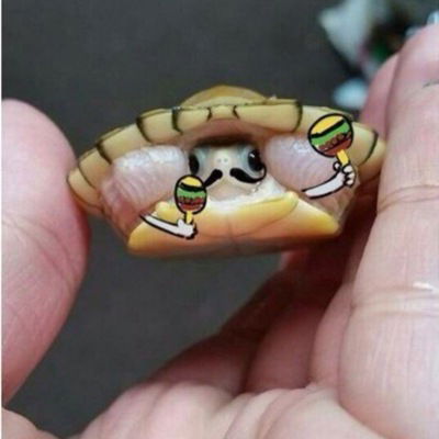 Александра Белоус