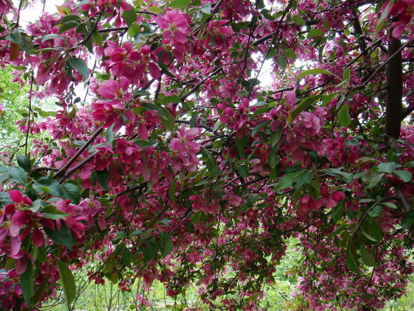 Лилия Якупова